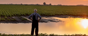 Donneesclimatiques.ca au service de l’agriculture