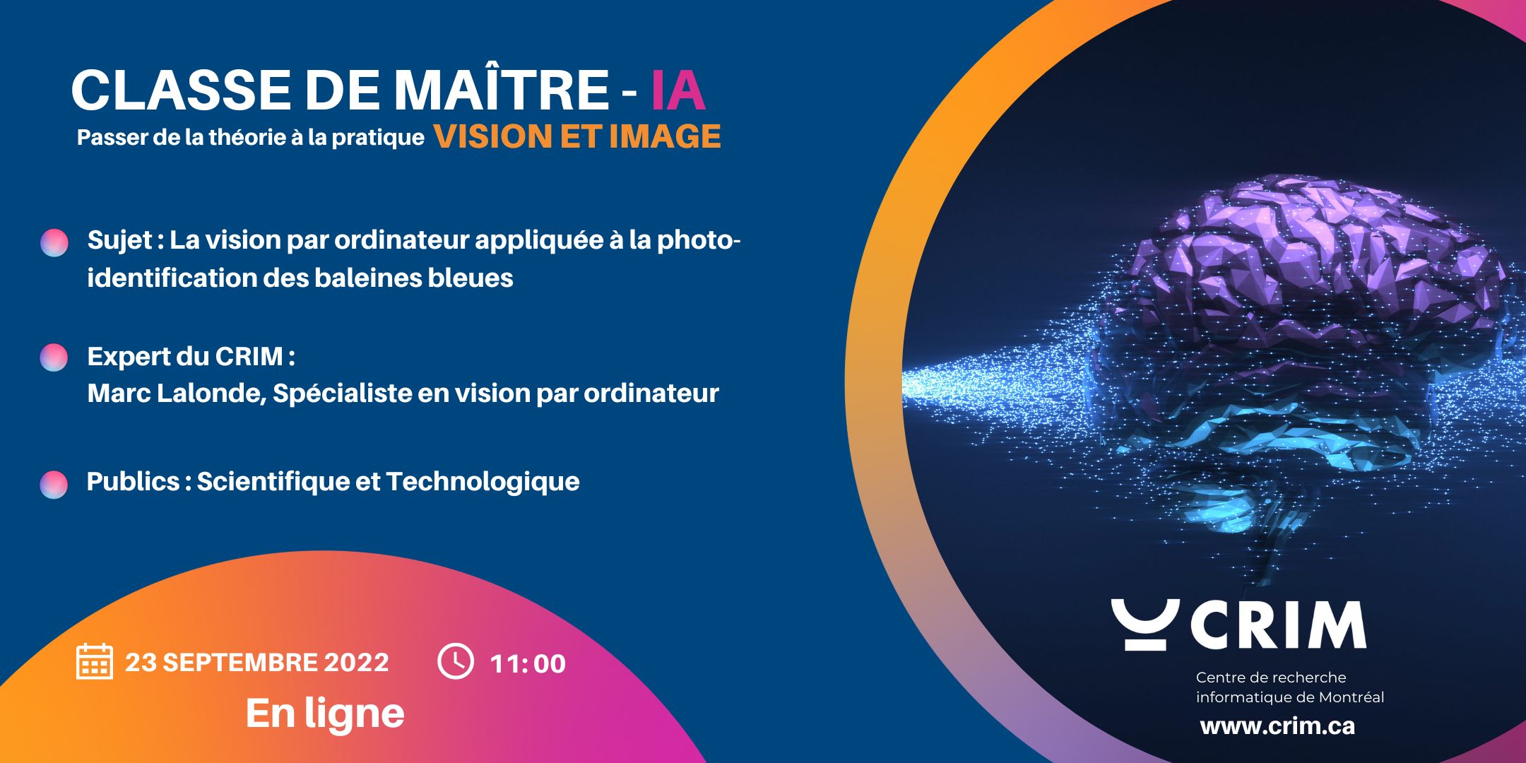 Classe de Maître IA | La vision par ordinateur appliquée à la photo-identification des baleines bleues